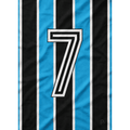 Quadro - Renato Gaúcho (Grêmio) - placar | creative studio